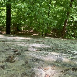 Meet your Posher, Ethan